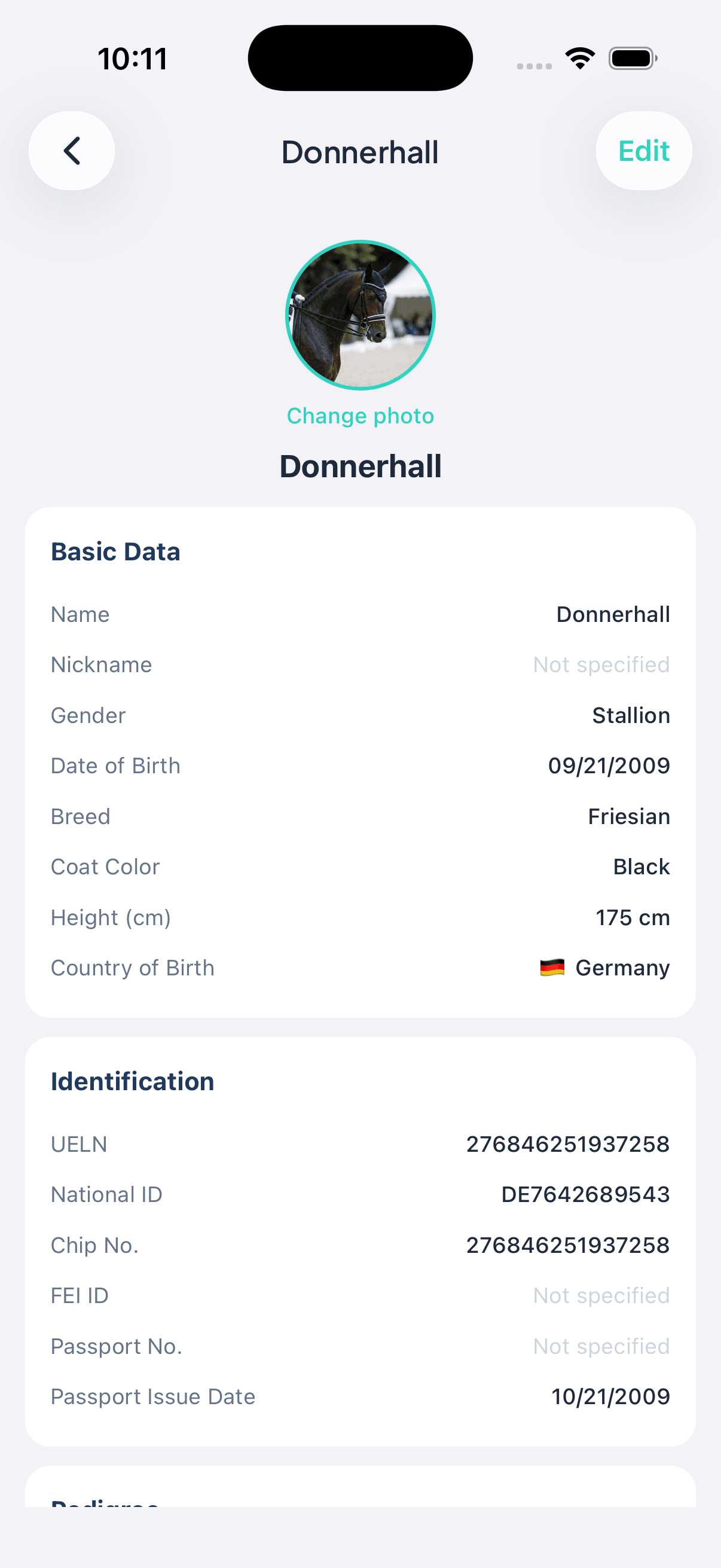 Horse profile